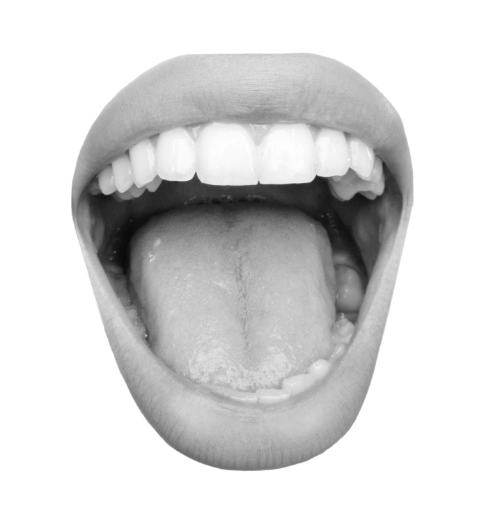 mouth1 1